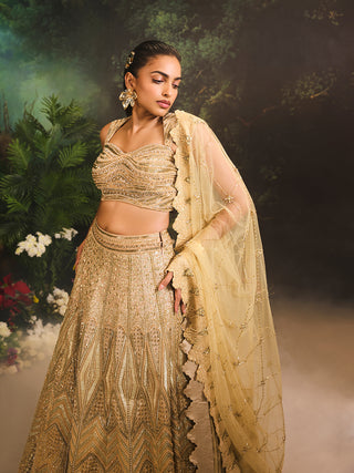 Jade Gold Embroidered Lehenga Set by Divya Aggarwal available on Indiaspopup