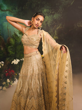 Jade gold embroidered lehenga set