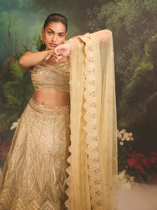 Jade gold embroidered lehenga set