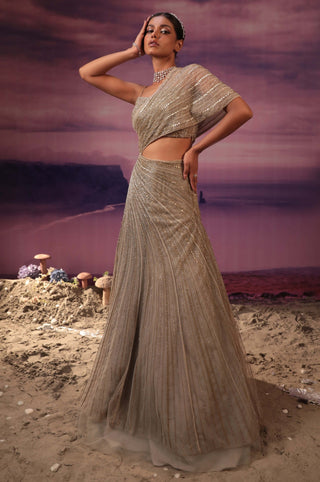 Couture By Niharika-Gray Gold Bustier And Gown-INDIASPOPUP.COM