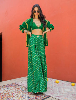 Emerald bandhini palazzo and jacket set