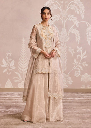 Water gold tissue kurta and sharara set