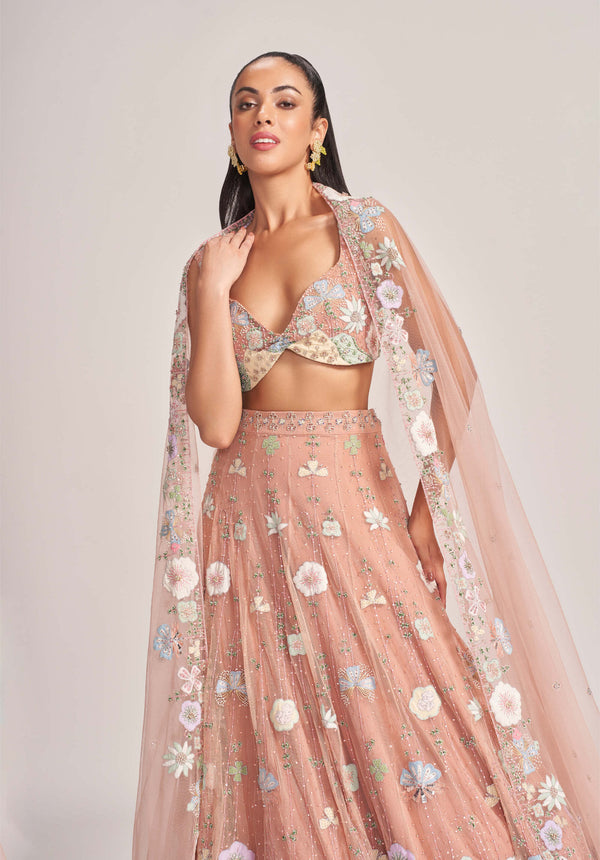 Aisha Rao-Peach Embellished Lehenga Set-INDIASPOPUP.COM
