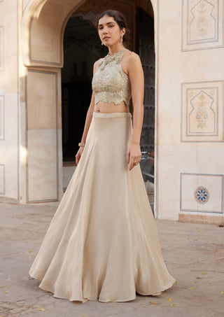 Beige champagne embroidered top and skirt