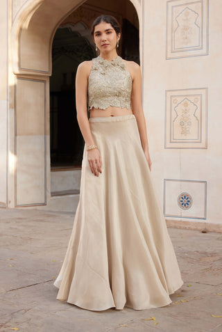 Beige champagne embroidered top and skirt