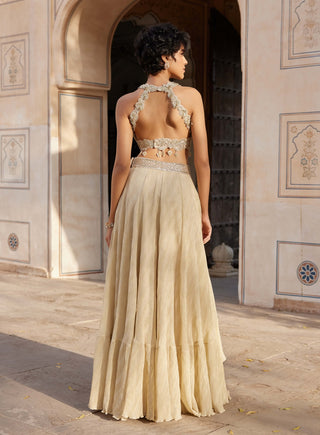 Beige champagne embroidered top and frill skirt