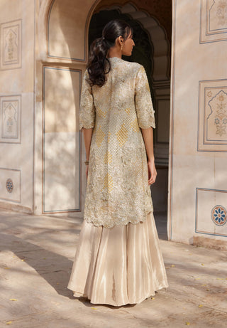 Beige champagne embroidered jacket and skirt set