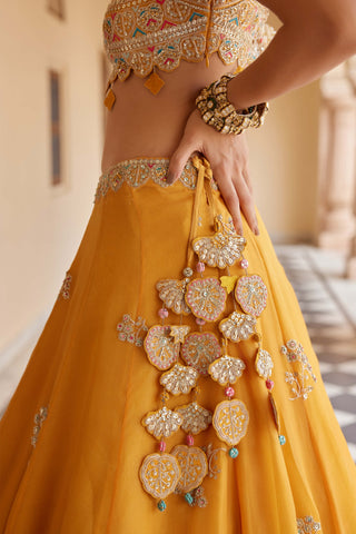 Orange peel embroidered lehenga set