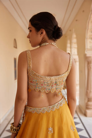 Orange peel embroidered lehenga set