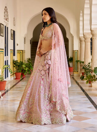 Rosaline pink organza embroidered lehenga set