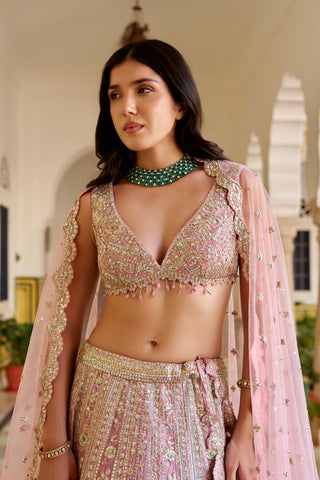 Rosaline pink organza embroidered lehenga set