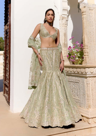 Sage tissue silk fish cut lehenga set