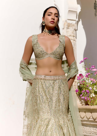 Sage tissue silk fish cut lehenga set