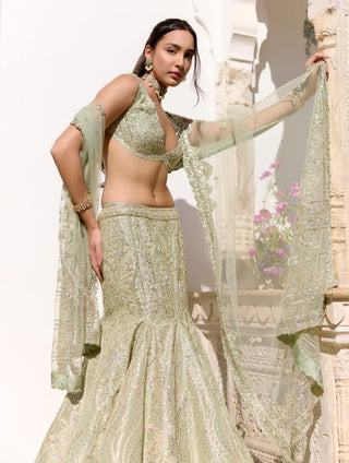Sage tissue silk fish cut lehenga set
