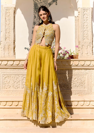 Honey gold organza top with garara