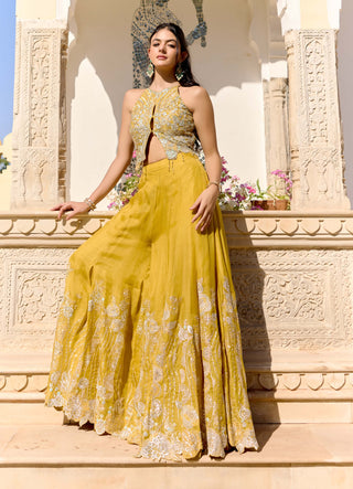 Honey gold organza top with garara