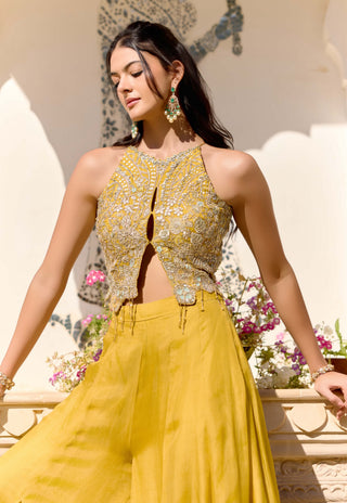 Honey gold organza top with garara