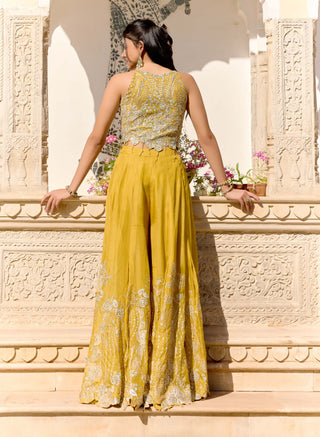 Honey gold organza top with garara
