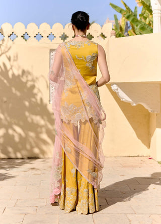 Canary yellow organza kurta and sharara set