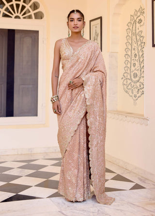 Caramel taupe tissue silk sari with blouse