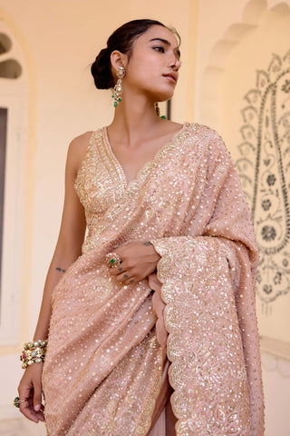 Caramel taupe tissue silk sari with blouse