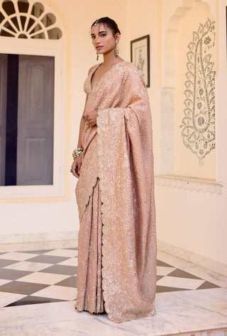 Caramel taupe tissue silk sari with blouse