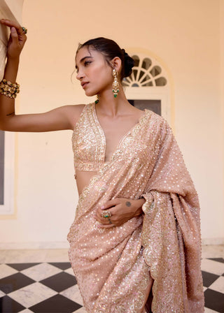 Caramel taupe tissue silk sari with blouse