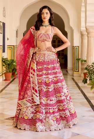 Cut ruby organza embroidered lehenga set