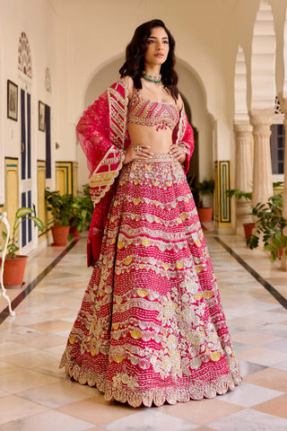 Cut ruby organza embroidered lehenga set