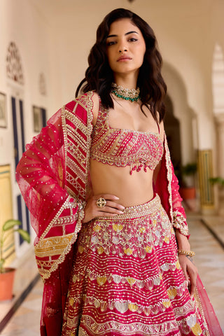 Cut ruby organza embroidered lehenga set