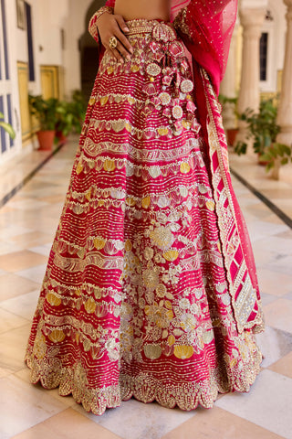 Cut ruby organza embroidered lehenga set