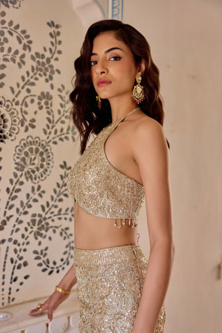 Frost champagne fish cut lehenga and blouse