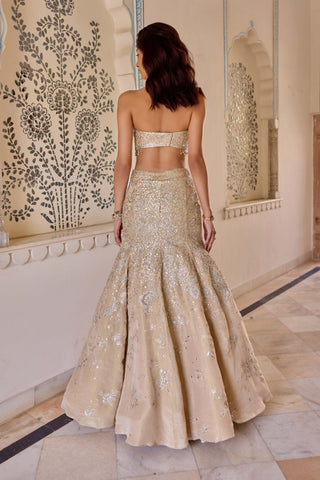 Frost champagne fish cut lehenga and blouse