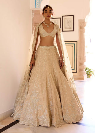 Frost champagne tissue silk jaal lehenga set