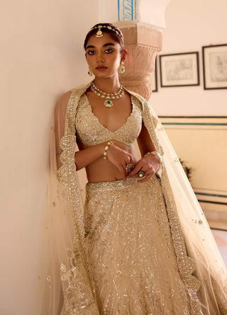 Frost champagne tissue silk jaal lehenga set