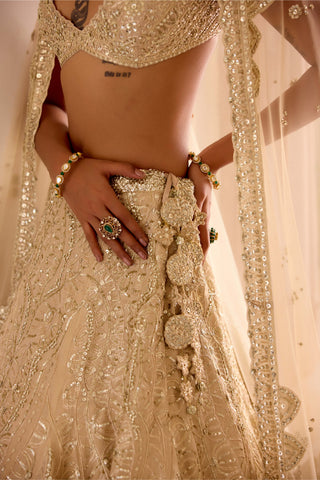 Frost champagne tissue silk jaal lehenga set