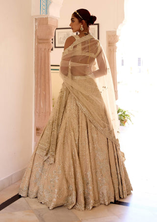 Frost champagne tissue silk jaal lehenga set