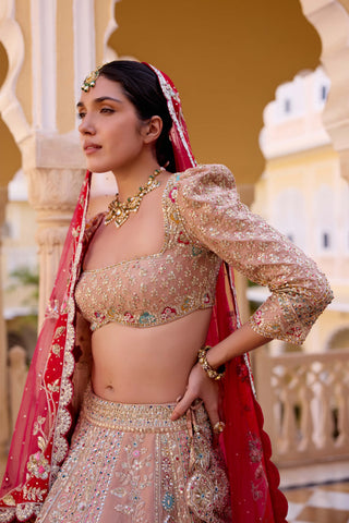 Caramel taupe mulberry silk bridal lehenga set