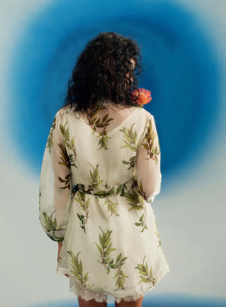 Organza trench dress with belt and slip