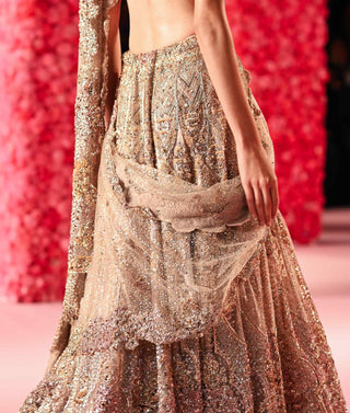 Lena Pale Gold Shimmer Tulle Lehenga Set by Dolly J, available on Indiaspopup.com