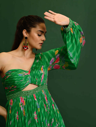 Chamee And Palak-Green Adele One Shoulder Gown-INDIASPOPUP.COM