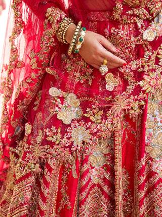 Asani red lehenga set