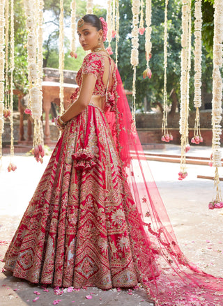 Asani red lehenga set