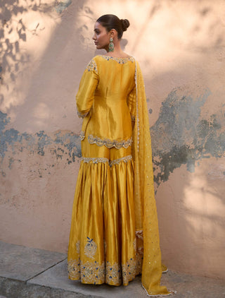 Daurya yellow sharara set