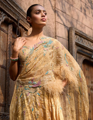 Auric orchard drape sari and blouse