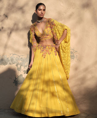 Dolly J Aurelian Yellow Cape And Lehenga Set available on indiaspopup