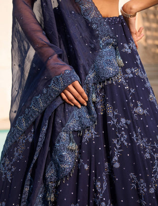 Auria blue chikankari lehenga set