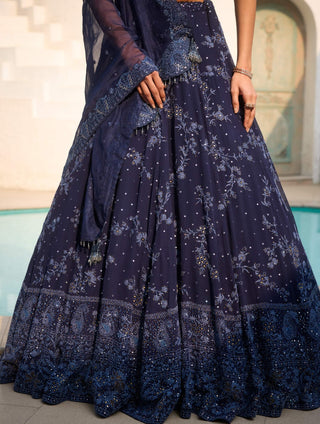 Auria blue chikankari lehenga set