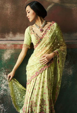 Pista green garden haze sari and blouse