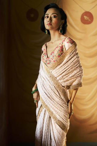 Ivory elara chikankari sari and blouse